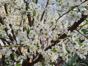Read more about the article פוסט 2