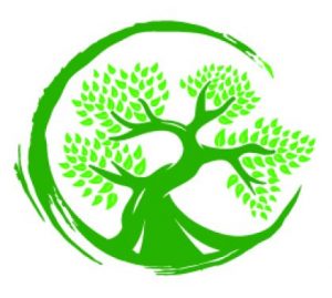 Read more about the article פוסט 3